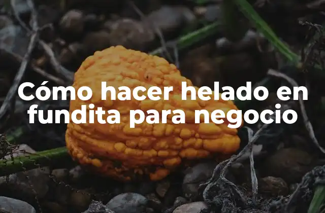 Cómo Hacer Helado en Fundita para Negocio