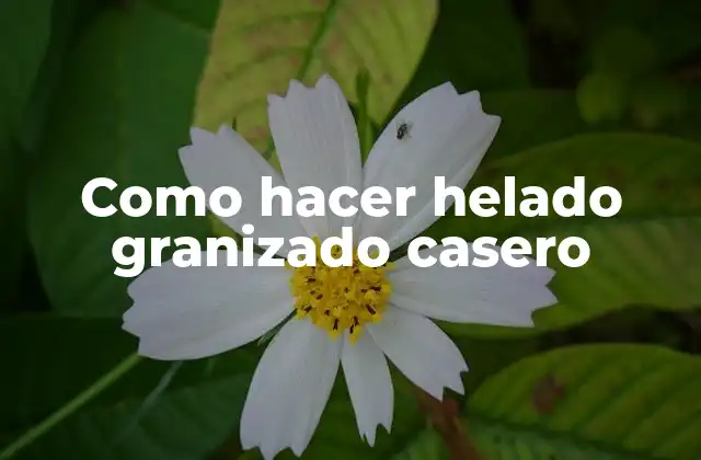 Como Hacer Helado Granizado Casero