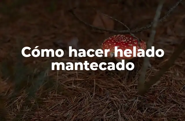 Cómo Hacer Helado Mantecado 2 ¿Qué es el helado mantecado y para qué sirve?