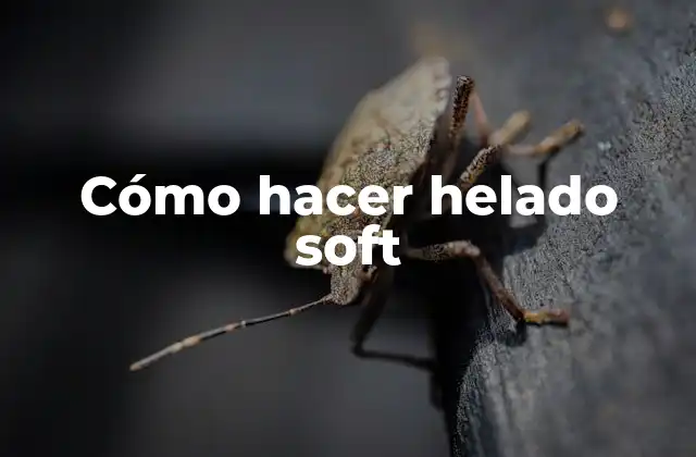 Cómo Hacer Helado Soft