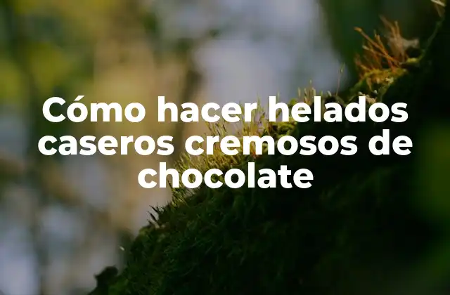 Cómo Hacer Helados Caseros Cremosos de Chocolate 2 Cómo hacer helados caseros cremosos de chocolate