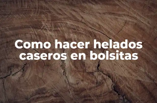 Como Hacer Helados Caseros en Bolsitas