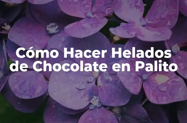 Cómo Hacer Helados de Chocolate en Palito