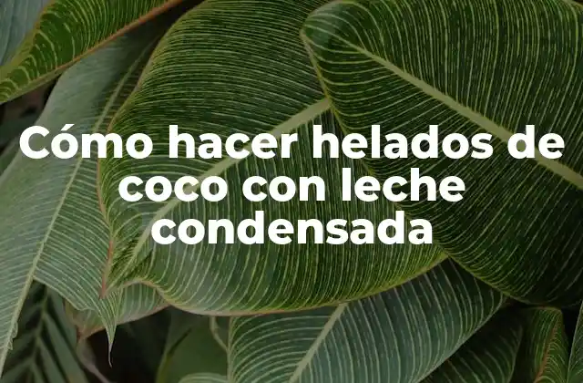 Cómo Hacer Helados de Coco con Leche Condensada