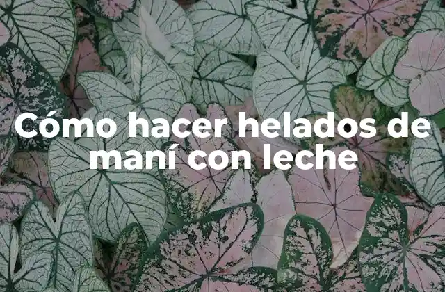 Cómo Hacer Helados de Maní con Leche