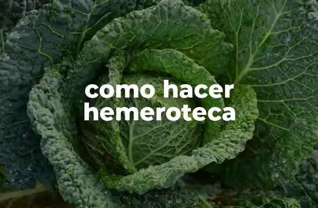 Como Hacer Hemeroteca