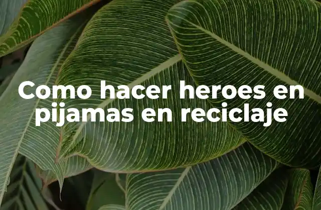 Como Hacer Heroes en Pijamas en Reciclaje