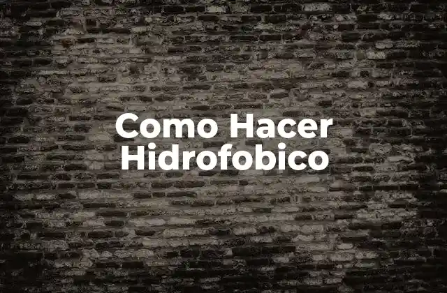 Como Hacer Hidrofobico