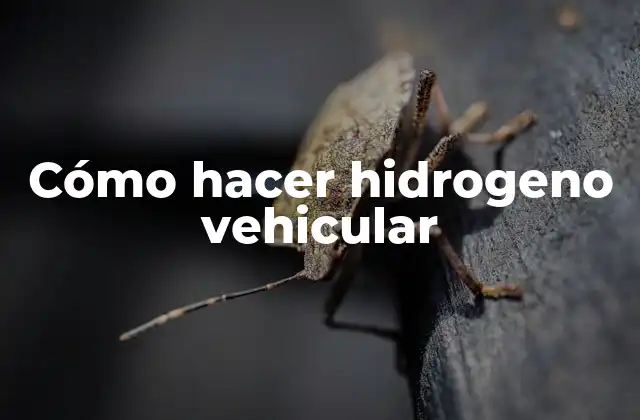 Cómo Hacer Hidrogeno Vehicular