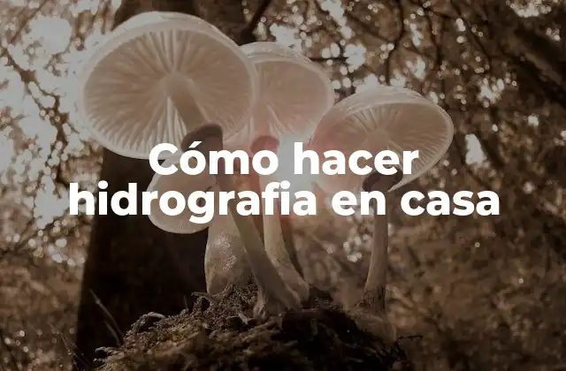 Cómo Hacer Hidrografia en Casa