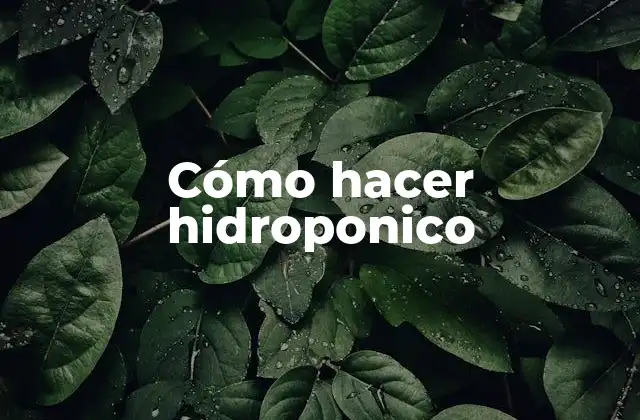 Cómo Hacer Hidroponico