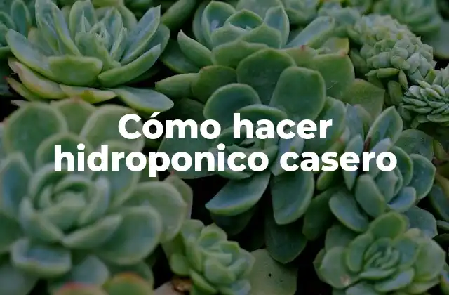 Cómo Hacer Hidroponico Casero
