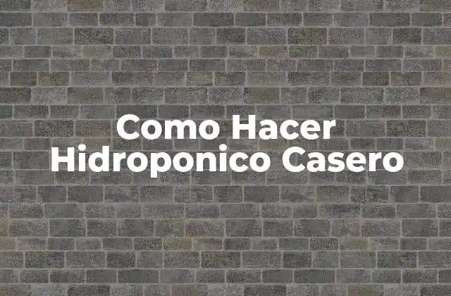 Como Hacer Hidroponico Casero