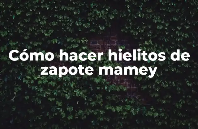 Cómo Hacer Hielitos de Zapote Mamey
