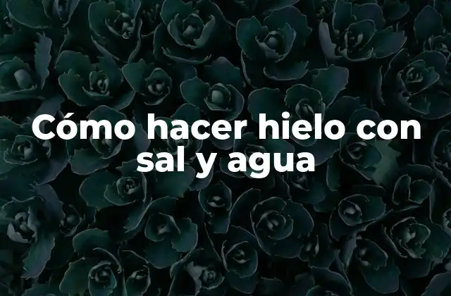 Cómo Hacer Hielo con Sal y Agua