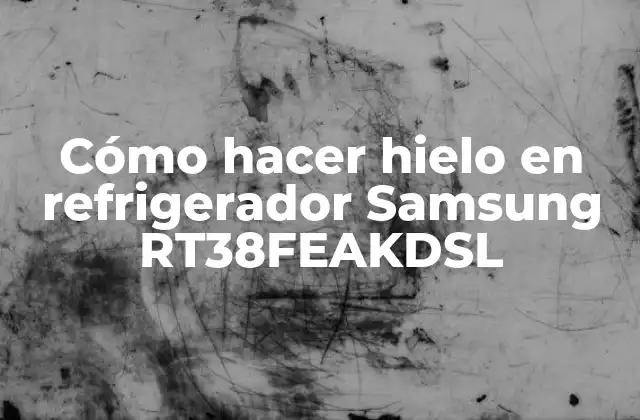 Cómo Hacer Hielo en Refrigerador Samsung Rt38feakdsl