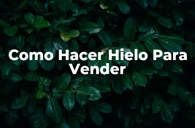 Como Hacer Hielo para Vender 2 ¿Qué es Hielo para Vender y Para Qué Sirve?