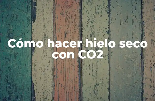 Cómo Hacer Hielo Seco con Co2