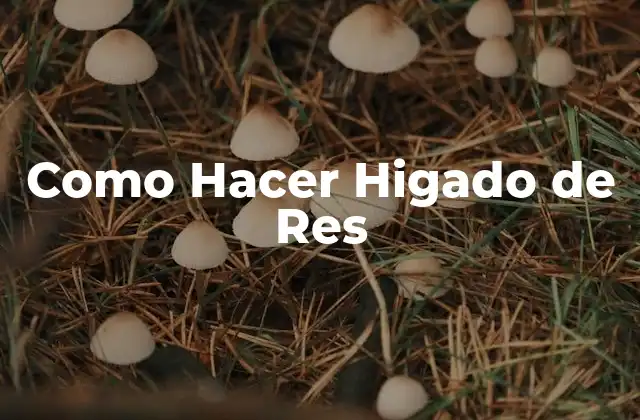 Como Hacer Higado de Res 2 ¿Qué es el Higado de Res y Para Qué Sirve?
