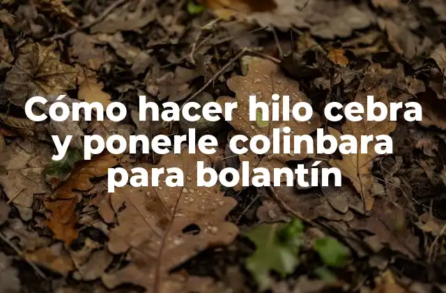 Cómo Hacer Hilo Cebra y Ponerle Colinbara para Bolantín