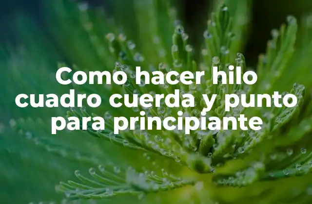 Como Hacer Hilo Cuadro Cuerda y Punto para Principiante