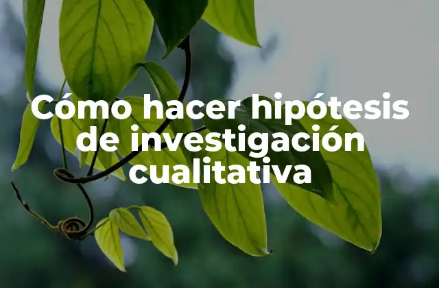 Cómo Hacer Hipótesis de Investigación Cualitativa
