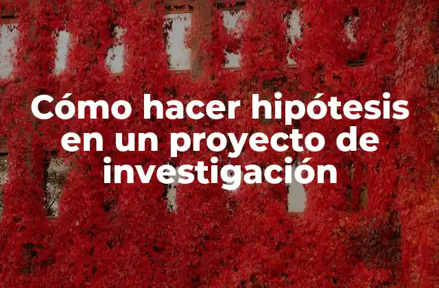 Cómo Hacer Hipótesis en un Proyecto de Investigación