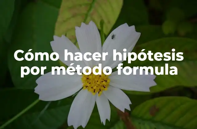 Cómo Hacer Hipótesis por Método Formula