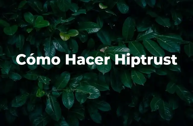 Cómo Hacer Hiptrust