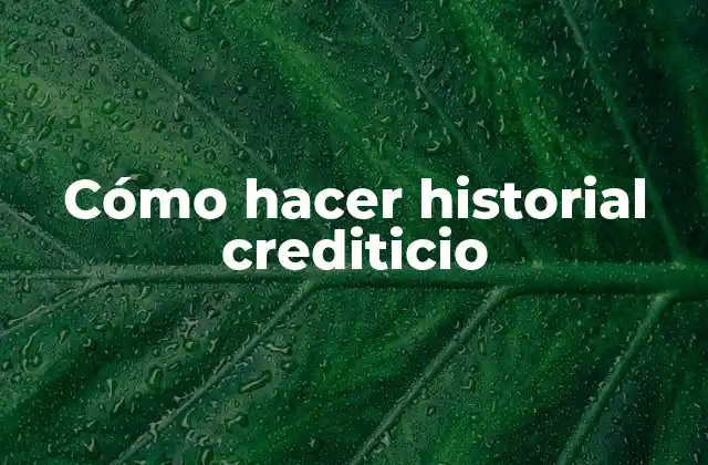 Cómo Hacer Historial Crediticio