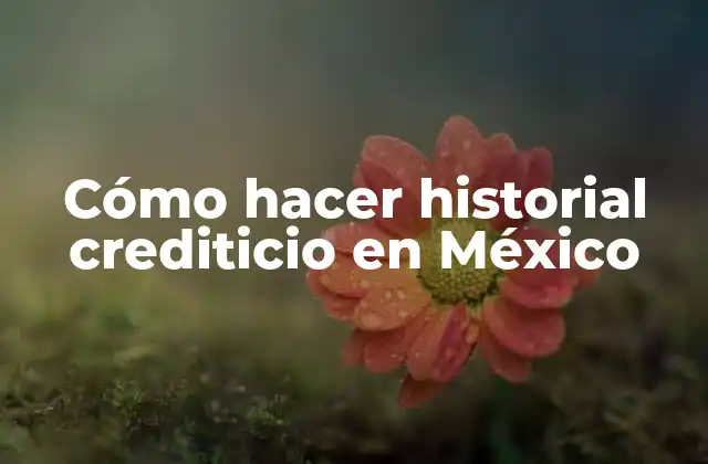 Cómo Hacer Historial Crediticio en México