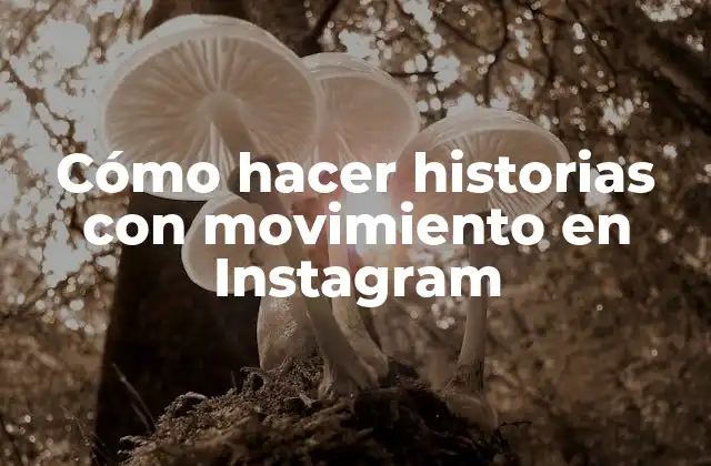 Cómo Hacer Historias con Movimiento en Instagram