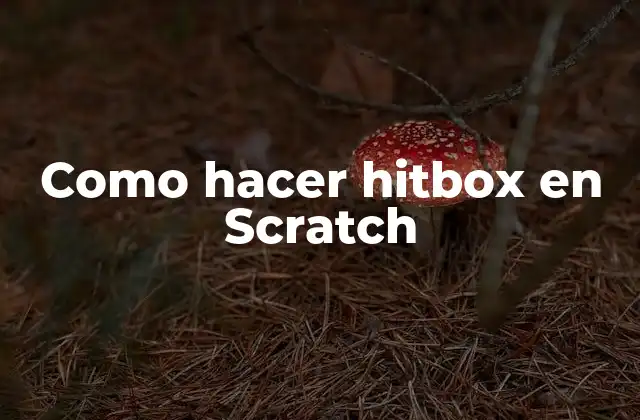 Como Hacer Hitbox en Scratch 2 ¿Qué es un hitbox en Scratch?