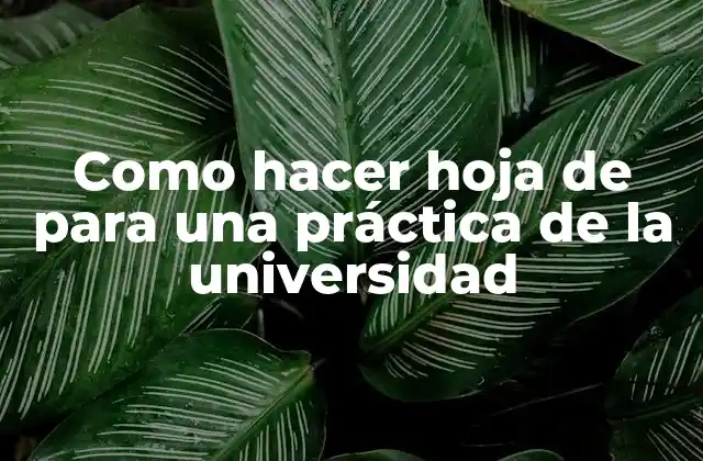 Como Hacer Hoja de para una Práctica de la Universidad