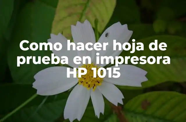Como Hacer Hoja de Prueba en Impresora Hp 1015