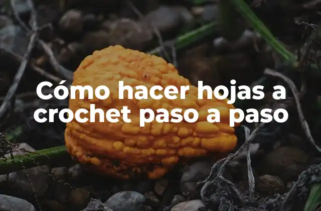 Cómo Hacer Hojas a Crochet Paso a Paso