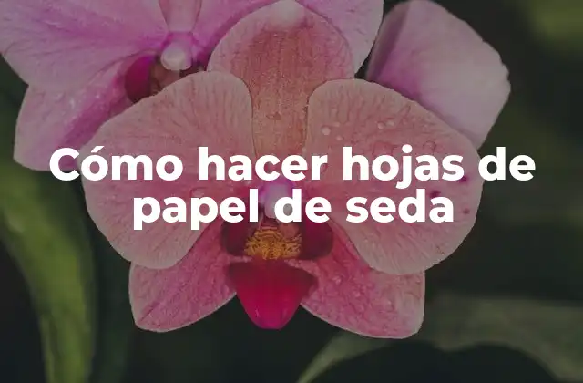 Cómo Hacer Hojas de Papel de Seda