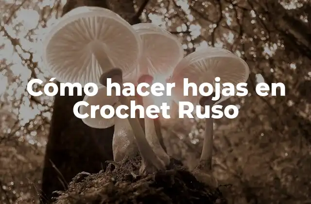 Cómo Hacer Hojas en Crochet Ruso
