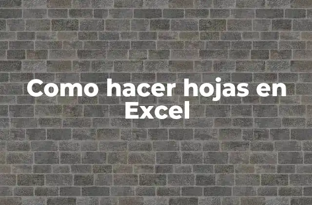 ¿Qué son las hojas en Excel?
