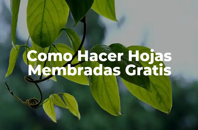Como Hacer Hojas Membradas Gratis