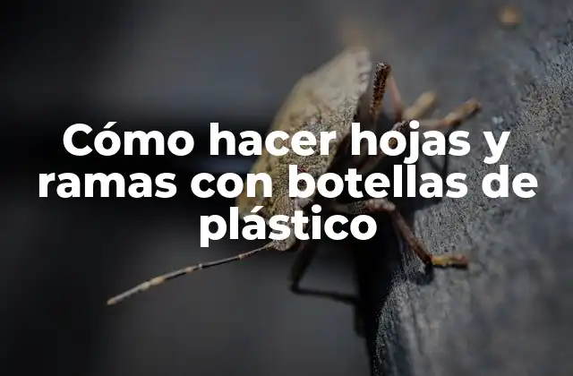 Cómo Hacer Hojas y Ramas con Botellas de Plástico