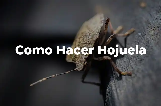 ¿Qué es la Hojuela y para Qué Sirve?