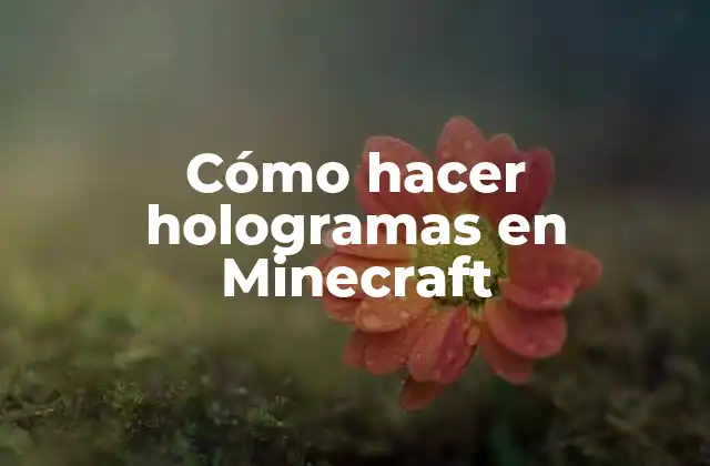 Cómo Hacer Hologramas en Minecraft 2 Cómo hacer hologramas en Minecraft