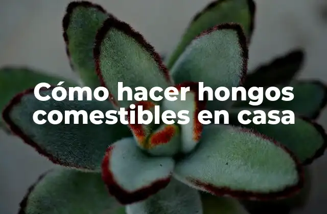 Cómo hacer hongos comestibles en casa