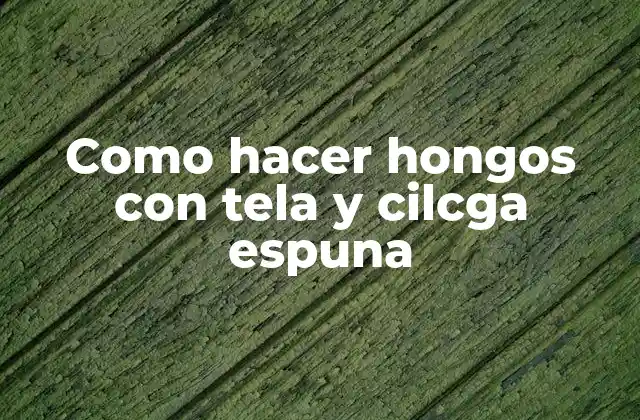 Como Hacer Hongos con Tela y Cilcga Espuna