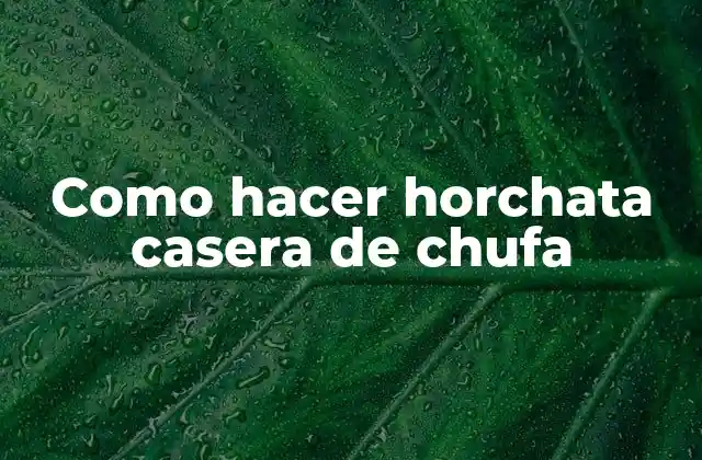 Como Hacer Horchata Casera de Chufa