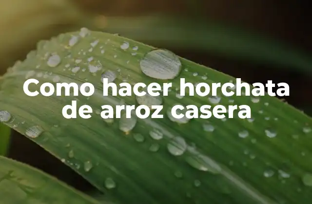 Como Hacer Horchata de Arroz Casera