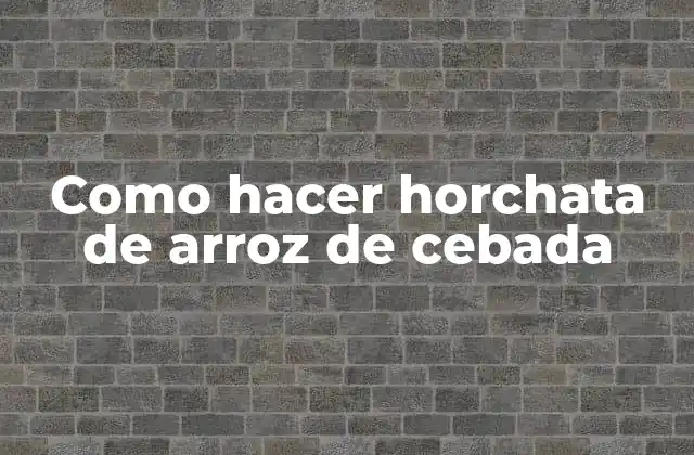 Como Hacer Horchata de Arroz de Cebada