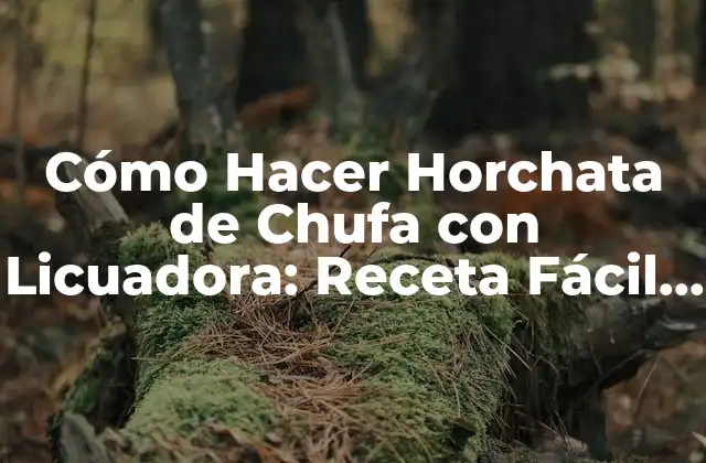 Cómo Hacer Horchata de Chufa con Licuadora: Receta Fácil y Deliciosa