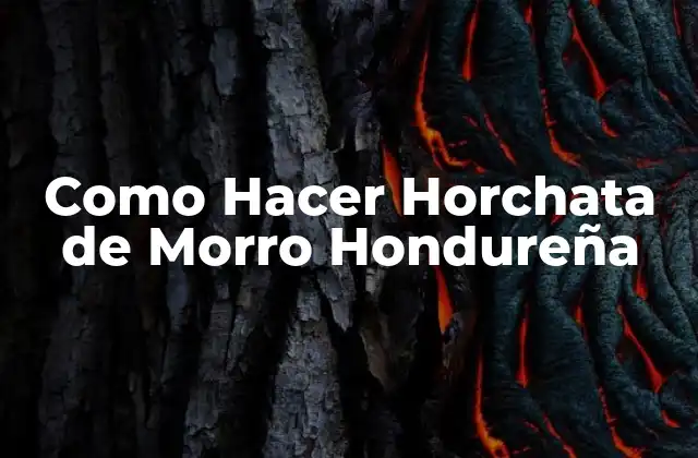 Como Hacer Horchata de Morro Hondureña